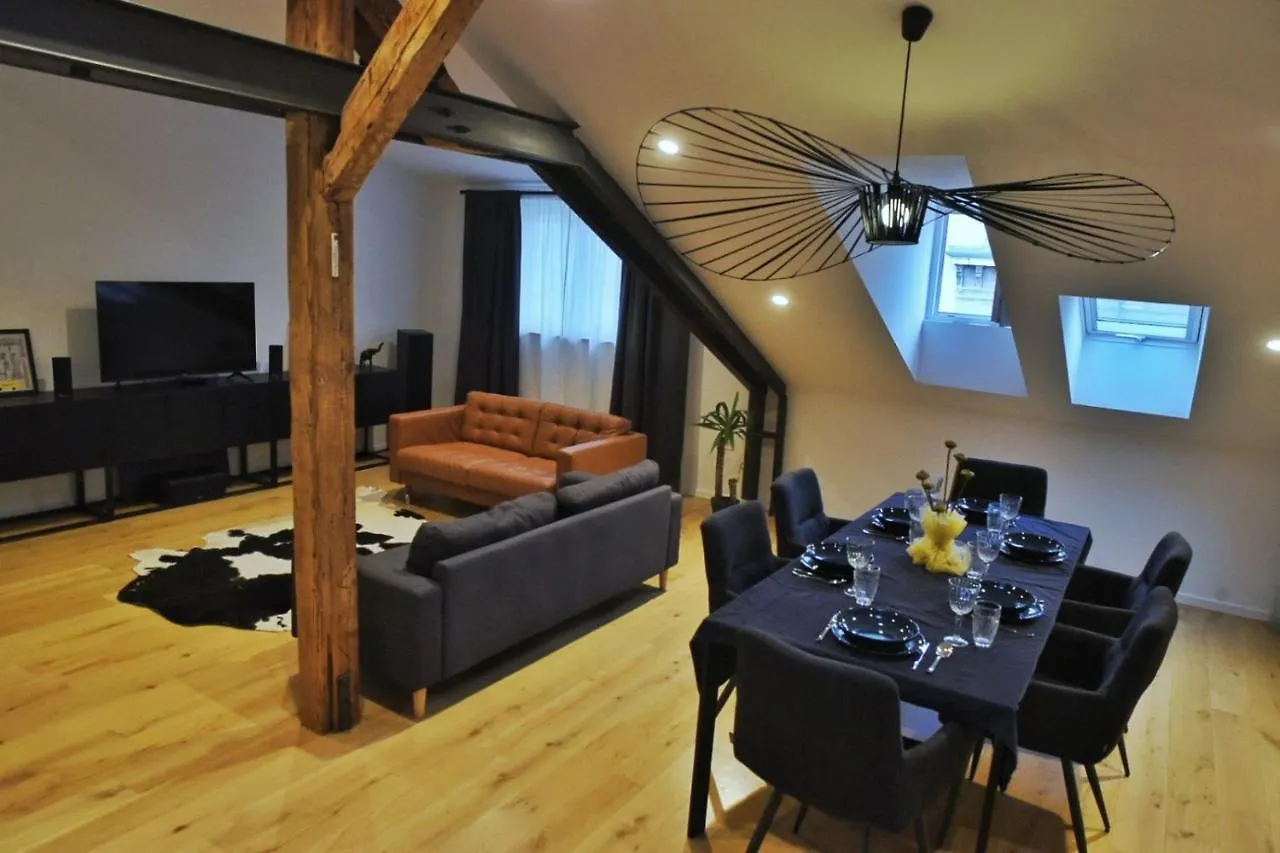 Beautiful Apartment In Center Rijeka Croatia