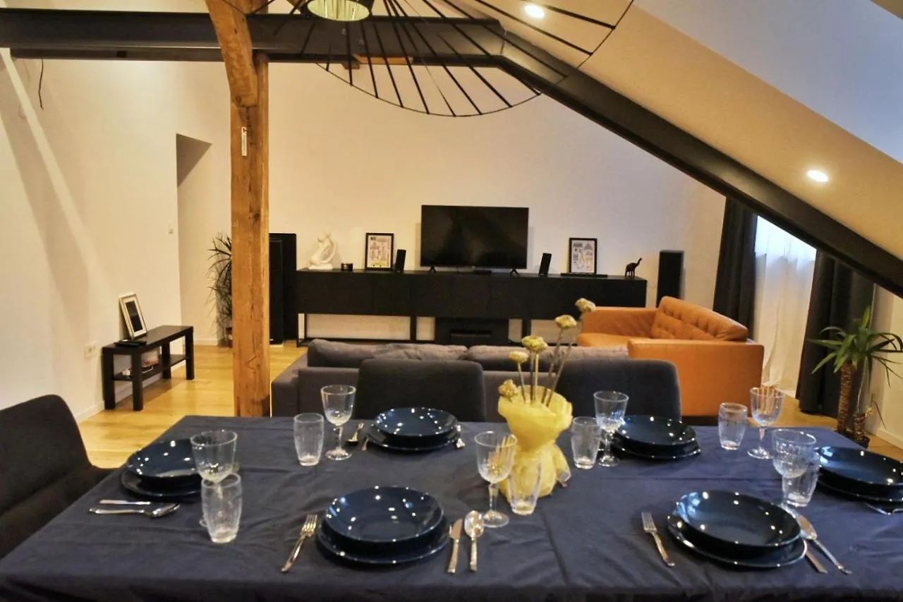 Beautiful Apartment In Center Rijeka Croatia